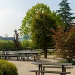 Effective Strategies for Organizing Inclusive Community Gatherings