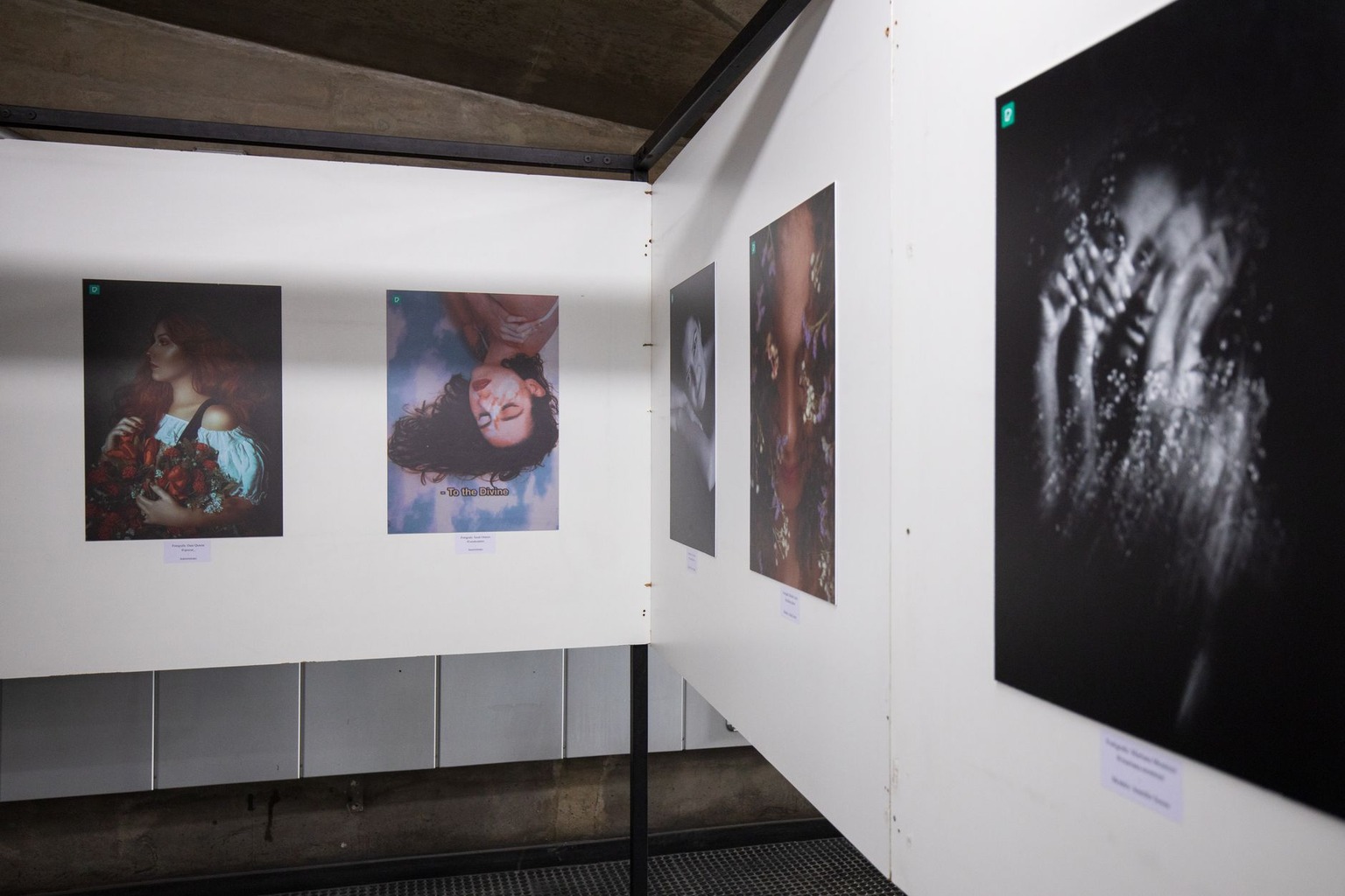 Impact of Local Art Shows on Community Engagement and Culture — Promote the Show Using Community Channels and Social Med