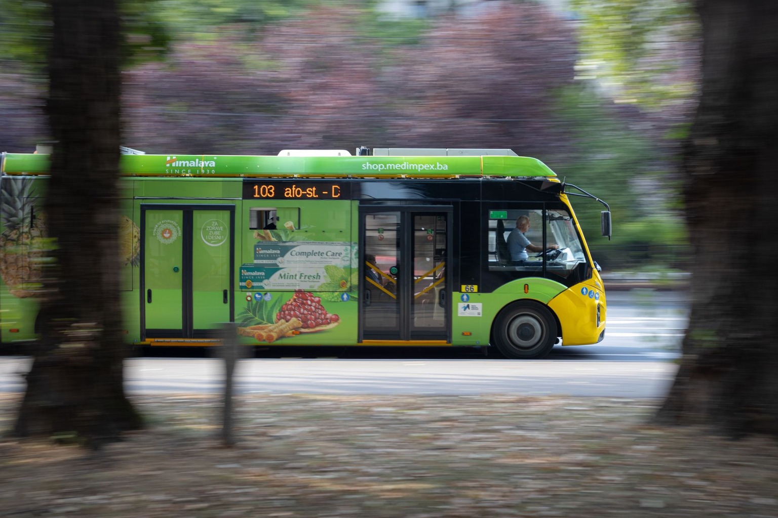 Sustainable Practices for Hosting Eco-Friendly Community Events — Designing Efficient Transportation and Venue Access